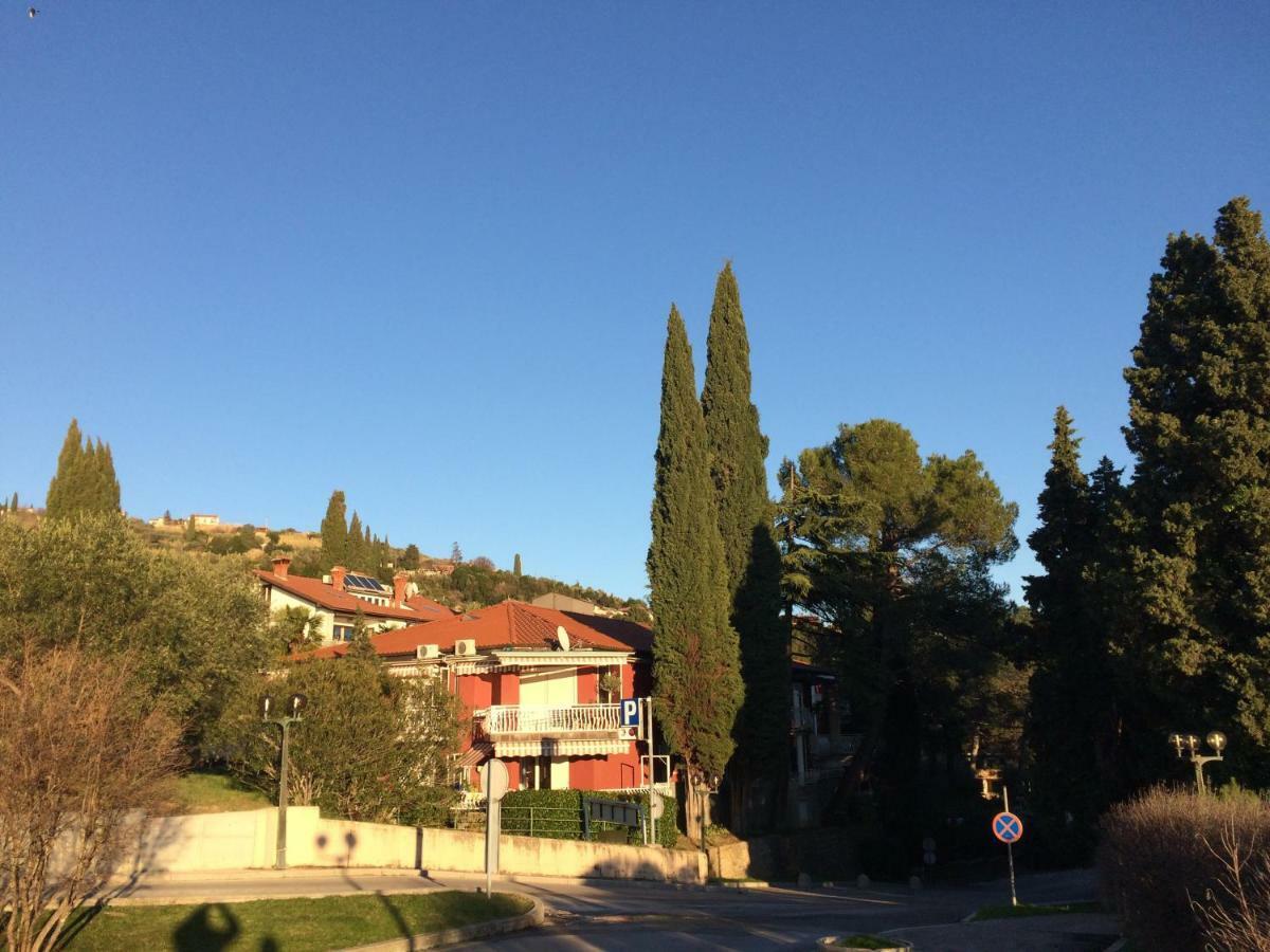 Apartment Vesna Portoroz